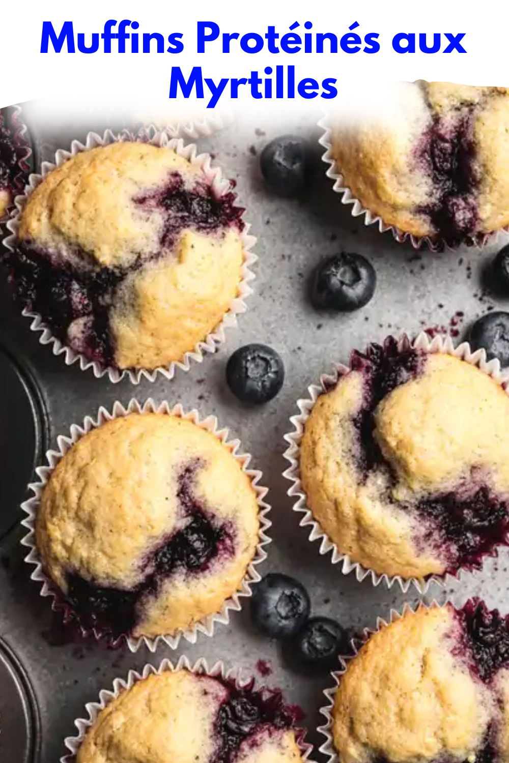 Muffins Protéinés aux Myrtilles